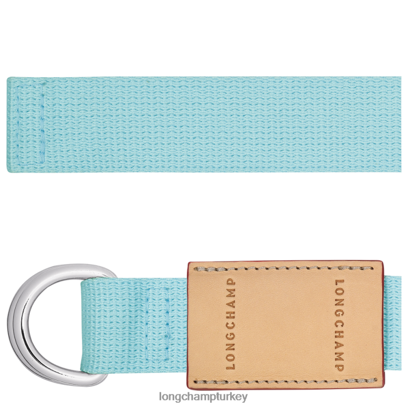 Longchamp Aksesuarlar seladon kadınlar le pliage yeniden oynatma kemeri NJPBL958